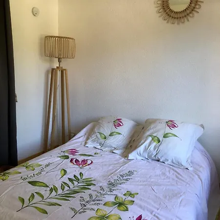Apartment Cozy